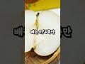 당뇨에 먹어도 되는 과일 5가지 🍎 이슈 건강 건강관리 지식 건강식 꿀팁 건강정보