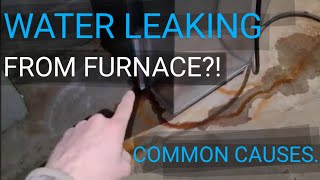 Top three most Common Causes of Water Leaking Around Furnace! Why is My Furnace Leaking?