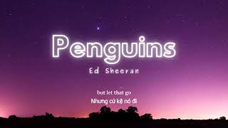 Vietsub | Penguins - Ed Sheeran | Lyrics Video