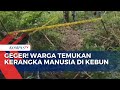 Geger! Warga Karangasem Bali Temukan Kerangka Manusia di Kebun