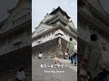 大阪城と犬【関西弁でしゃべる犬】 111 osaka castle and dog dog talking in kansai dialect shorts