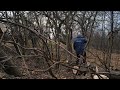 hard work in the village two brothers go to the forest for firewood to help their grandparents