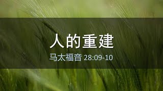 马太福音第40课：人的重建（28:8-10）。墓地污鬼与猪头姓习：彻底否定主流基督教。他备拉：燃烧的加拿大、法国黑命贵骚乱与斯拉夫内战（俄乌战争与俄国兵变）。当女牧师超过半数：主流基督教是撒但一会。