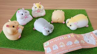 やわもっちハムスター全6種 ソフビのガチャ開封 Japanese Capsule Toy, Funny Hamsters PVC Figure