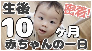 【密着】生後10ヶ月赤ちゃんの一日｜掴まり立ち・離乳食・授乳・読み聞かせ｜