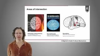 How do neuroscience and philosophy intersect? | Dr. Adina Roskies (Part 1 of 4)