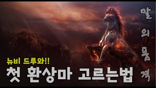 환상마 어떤거 골라야 할지 알려줄게!!! - 검은사막