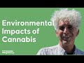 The Environmental Impacts of Cannabis Growing with Shawn Cooney of Sustainable Cannabis Coalition