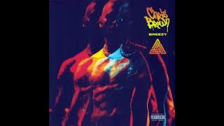 CHRIS BROWN - ON SOME NEW SHIT 2021 ( unofficial)