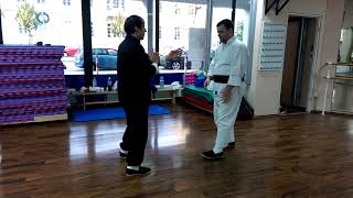Wing Chun : Tan sao Punch Drill