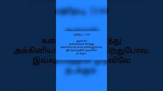 நிலம் உலகம்; நல்ல விதை ராஜ்யத்தின் புத்திரர்  மத்தேயு 13 Words \u0026 Audio Bible verses Tamil #jesus