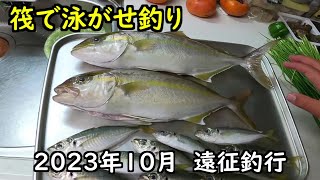 2023年10月 筏で泳がせ釣り