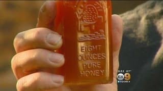 Local Honey Might Be Sweet Solution To Seasonal Allergies