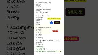 మన ఉరిలో, వీధిలో, ఇంట్లో ఉండవలసిన చెట్లు🌱 🌱 #plantsinpots #trees #rainyseason#ytshorts#playstation