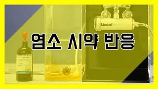 [듀벨] 수돗물 잔류염소 이럴수가!! 그 실체를 보여 드립니다