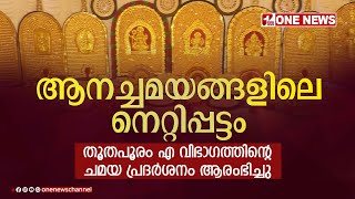 ആനച്ചമയങ്ങളിലെ നെറ്റിപ്പട്ടം ; തൂതപൂരം എ  വിഭാഗത്തിന്റെ ചമയ പ്രദര്‍ശനം ആരംഭിച്ചു