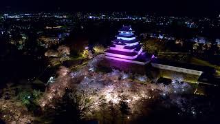 【絶景！桜と城４K空撮映像】千本桜と春の鶴ヶ城ライトアップ・東北最大級規模 Tsurugajo castle Sakura Aizu