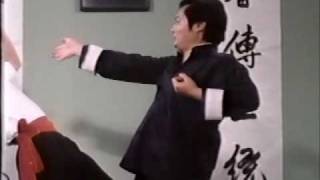 Wing Chun - The Science of In-fighting Part 2