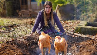 Cooking Whole saffron chicken UnderBuckets and Pistachio Pilaf