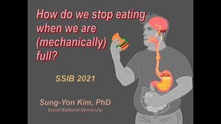 How do we stop eating when we are (mechanically) full? (Sung-Yon Kim, Seoul National University)