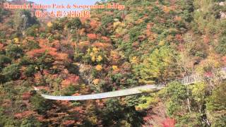 五家荘 梅の木轟公園吊橋紅葉Umenoki Todoro Park \u0026 Suspension Bridge