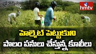 హెల్మెట్‌ పెట్టుకుని పొలం పనులు చేస్తున్న కూలీలు ; ఎందుకో చూడండి!! | hmtv