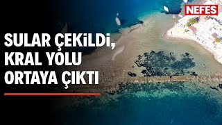 Gümüşlük'te 3 bin 500 yıllık Kral Yolu gün yüzüne çıktı