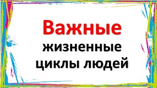 Важные жизненные циклы людей