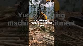 Yuchai logging machine, recruitment agent