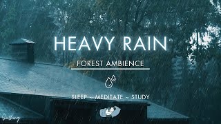 Heavy Rain On Metal Roof | NO ADS | Soothing Rain Sounds For Sleeping