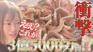 【香川県観光】なんなんこれぇ！！歯の美術館！？【日本一周ep.18.5】