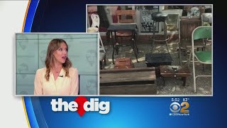 The Dig Uncovers Treasure Trove Of Odd Delights, Antiques In Brooklyn
