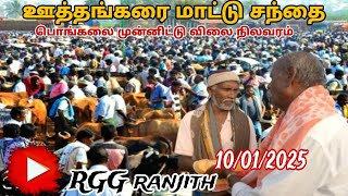 10-01-2025/ பொங்கலை முன்னிட்டு ஊத்தங்கரை மாட்டு சந்தை நிலவரம் /கூட்டம் அலைமோதல்