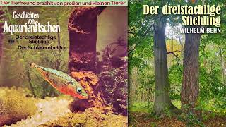 Tierfreund Wilhelm Behn Der dreistachlige Stichling