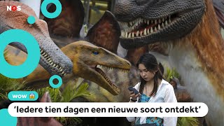 Hoeveel dinosoorten waren er vroeger?