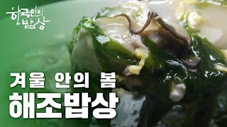 [한국인의밥상] [풀영상] 겨울 안에 봄, 해조 밥상 #완도바다