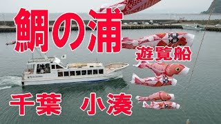 鯛の浦、千葉小湊、2016 05