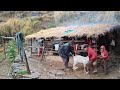 Most Relaxing Nepali Mountain Village Life|Daily Activities of Hari Rokaya Village People| Rainy Day