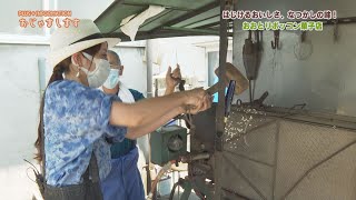 おじゃまします　「おおとりポッコン菓子店」