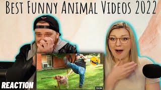 Best Funny Animal Videos 2022-Funniest Dogs & Cats Videos@FeelingsFactory|HatGuy & Nikki react