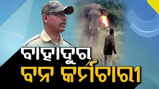 Brave Forest Guard Confronts Tusker With Fire Torch, Saves Lives In Sambalpur