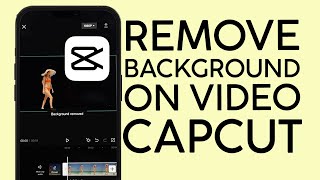 How to Remove Background on Video Using Capcut Without A Green Screen 2022