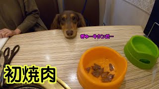 【愛犬】犬と行ける焼き肉屋「うしすけ」に行ってきました