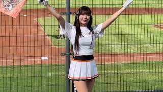 20240825超人力霸王主題日 瑟七  (王者之獅）#unigirls  #統一獅  #cheerleader  #中華職棒