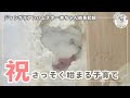 【生後1〜3日目】はじまる子育て、赤ちゃんをチラ見しました（ジャンガリアンハムスター赤ちゃん記録①）