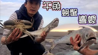 瑀爸野味-午魚螃蟹響螺Big fish and crabs caught in abandoned fishing nets/瑀爸YingziJin_110#136