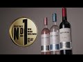 DISCOVER ARGENTINA'S NUMBER 1 WINE BRAND WORLDWIDE.