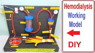 hemodialysis working model science project for exhibition - biology project - diy | craftpiller