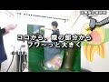 【 誤診 】根管治療できませんでした、、、簡単に歯の神経は取るな！神経抜かない治療とは？　＃神経残す　＃mta　＃マイクロスコープ　＃歯医者