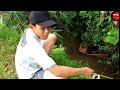 Download MANCING EMOSI # FILM PENDEK NGAPAK BANYUMAS In Mp4 3Gp Full HD Video